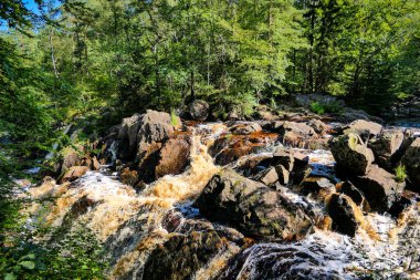 Güneş ışığıyla İsveç Krallığı 'nın güzel bir manzarası