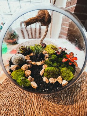 Bir teraryumun dikey yakın çekimi. Oda masasında küçük bitkiler ve kayalar var.