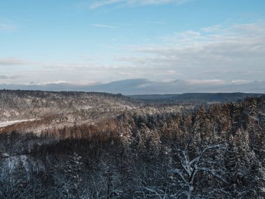 Karla kaplı yapraksız ağaçların ve dalların güzel manzarası..