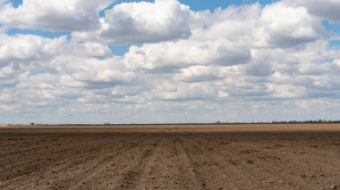 Arazinin üstündeki mavi gökyüzünün güzel bulutları.
