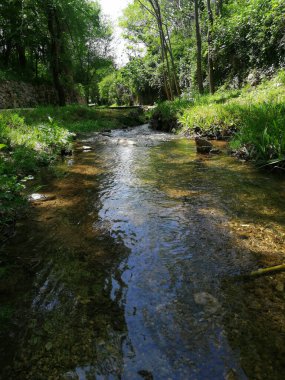Yeşilliklerle çevrili nehrin dikey görüntüsü.