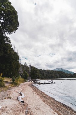 Bulutlu bir günde, göl kıyısının ve yanındaki ormanın dikey görüntüsü.