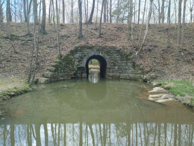 Ormanda küçük bir tüneli olan güzel bir nehir manzarası.