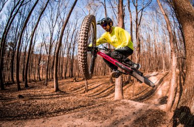 A closeup of a person riding a bicycle in a forest