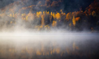 Sisli bir günde suda yansıyan güneş ışığıyla aydınlatılan ağaçların manzarası.