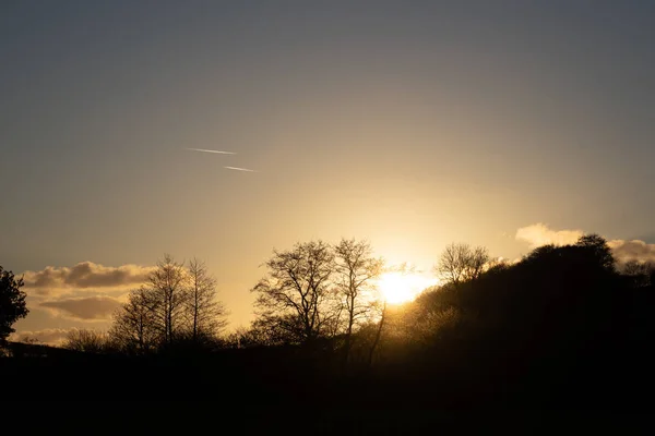 Una Hermosa Vista Paisaje Con Árboles Atardecer —  Fotos de Stock