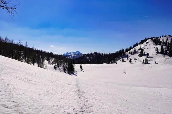冬の日に雪の山の景色 — ストック写真