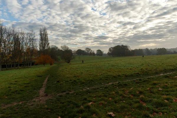 Krásná Oblačnost Nad Zeleným Trávníkem Parku Londýn Brixton — Stock fotografie