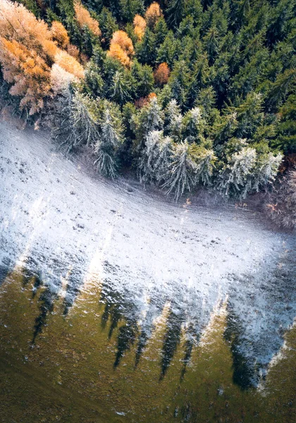 Krajobraz Powietrza Strzał Kolorowych Drzew Leśnych Przez Zamarzniętą Wodą Zimie — Zdjęcie stockowe