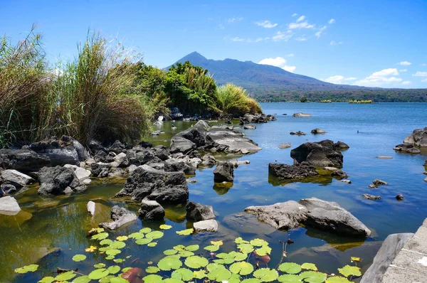 Панароидный Вид Озеро Камнями Растениями — стоковое фото