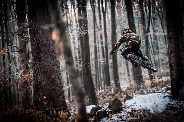 Closeup Person Riding Bicycle Forest — Stok fotoğraf