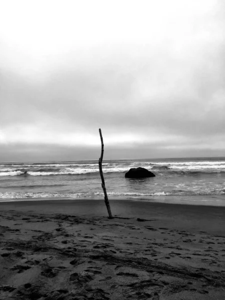 Grayscale Sandy Beach Cloudy Day — Stock Photo, Image