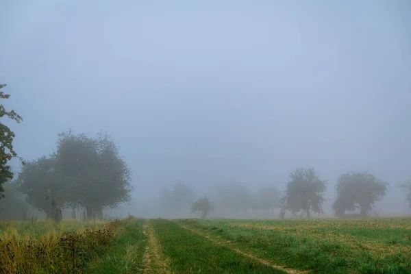 Природное Покрытое Туманом Поле Сельской Местности — стоковое фото