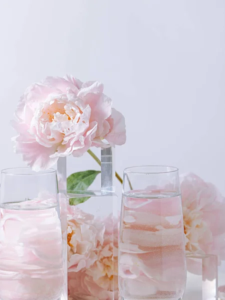 Pionowe Ujęcie Pięknych Różowych Kwiatów Piwonii Szklanym Wazonie Białym Tle — Zdjęcie stockowe