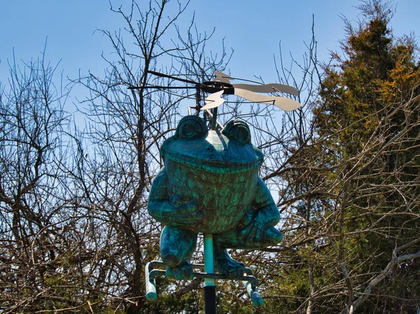 Funny Statue Frog Overland Park Arboretum Kansas United States — Stock Photo, Image