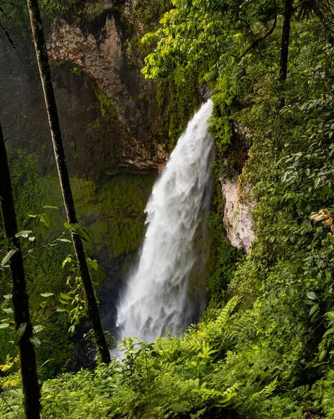 Colpo Verticale Una Cascata Nella Foresta Primavera — Foto Stock