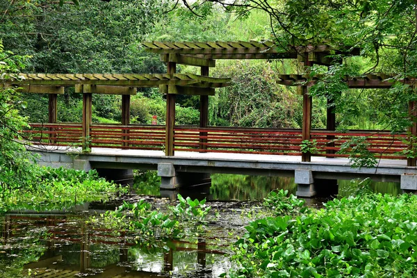 Puente Estilo Asiático Sobre Río Bosque Siempreverde — Foto de Stock