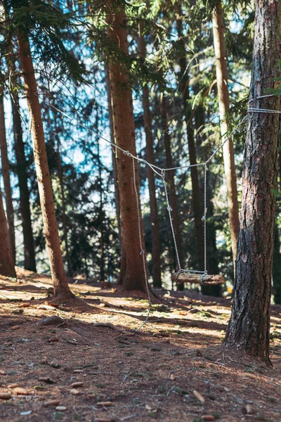 Schöne Aufnahme Einer Hölzernen Schaukel Wald — Stockfoto