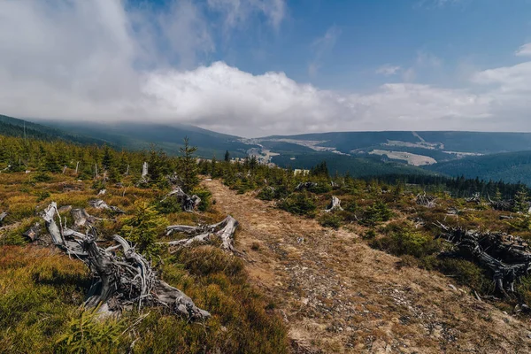 Parque Nacional Krkonose Primavera Paisagem Montanhosa Moutains Gigantes Bohemia Prados — Fotografia de Stock