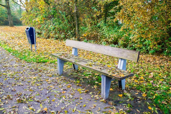 秋の紅葉に覆われた木のベンチがある公園で 明るい秋の日 — ストック写真