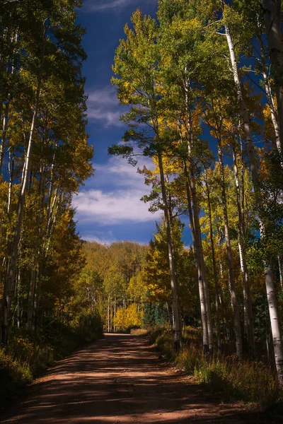 Mavi Gökyüzünün Altında Büyük Sonbahar Ağaçları Olan Güzel Bir Yol — Stok fotoğraf