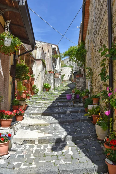Medieval Stairs Narrow Alley Pot Plants Houses Macchiagodena Village Molise — Stock Photo, Image