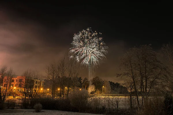 Uma Bela Exibição Fogos Artifício Céu Escuro Riga Letônia Durante — Fotografia de Stock