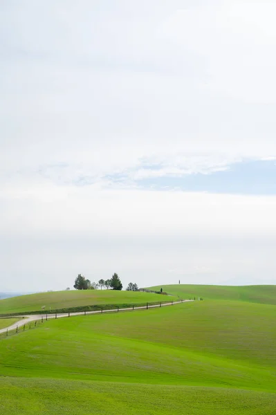 Tiro Vertical Belos Campos Francigena Toscana Itália — Fotografia de Stock