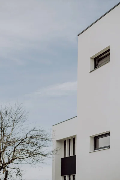 Tiro Vertical Edifício Branco Com Janelas Vidro Perto Uma Árvore — Fotografia de Stock