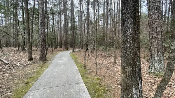 Une Route Travers Une Forêt Rurale Avec Des Arbres Nus — Photo