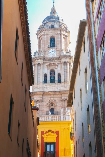 Een Verticaal Schot Van Het Deel Van Malaga Kathedraal Van — Stockfoto