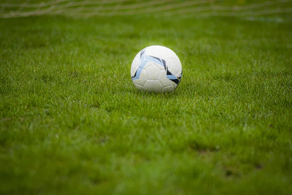 Белый Синий Футбольный Мяч Зеленом Поле — стоковое фото