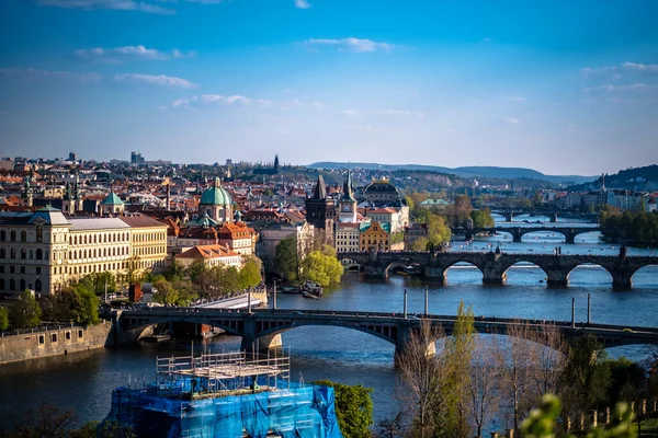 Gyönyörű Kilátás Nyílik Moldva Folyóra Prágai Város Hídjai Alatt Fákkal — Stock Fotó