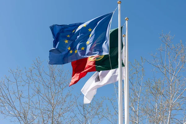 Detailní Záběr Vlajky Evropské Unie Vlajky Portugalska Lisabonské Vlajky Stromu — Stock fotografie