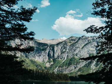 Güneşli bir günde ağaçların arkasında görünen dağların manzarası.