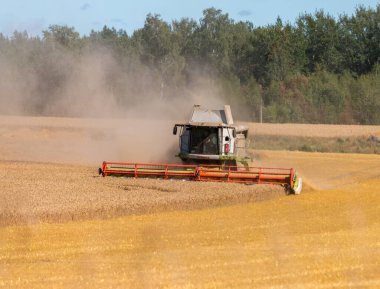 Güneşli bir günde, İsveç 'teki tozlu hasat sırasında yeşil ağaçlı güzel bir hasat makinesi görüntüsü.