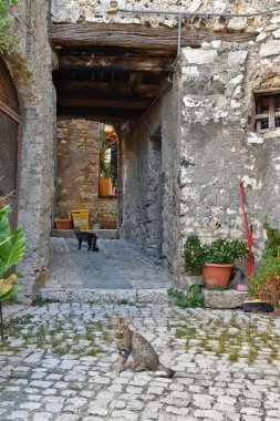 İtalya 'nın Benevento eyaletindeki Pietrelcina köyündeki evler arasında dar bir sokak.