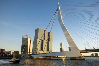 Hollanda, Rotterdam 'daki Erasmusbrug köprüsünün mavi bir arka planda manzarası