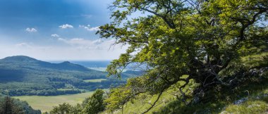 Arka planda bir ağaç ve dağların panoramik görüntüsü.