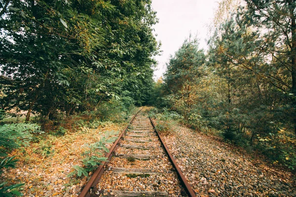 Осенью Лесу Построена Железная Дорога — стоковое фото