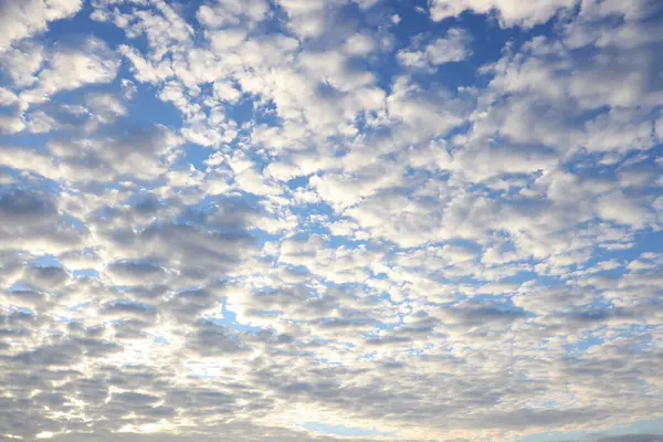 Низкий Угол Снимка Голубого Неба Кучевыми Облаками — стоковое фото