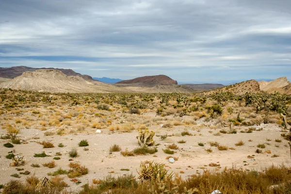 Ein Schöner Blick Auf Den Death Valley Nationalpark Kalifornien Einem — Stockfoto