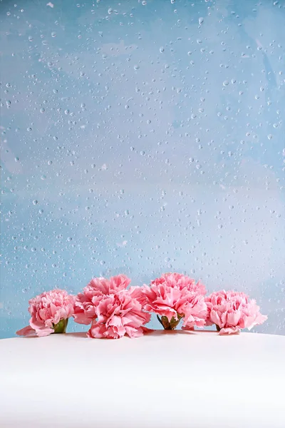 Primer Plano Vertical Flores Rosadas Sobre Una Mesa Sobre Fondo — Foto de Stock