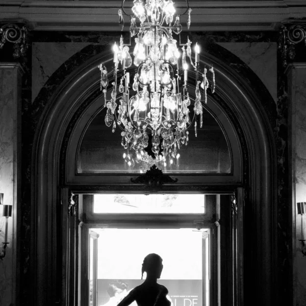 Retro Czarno Biały Strzał Sylwetka Kobiety Luksusowym Wnętrzu — Zdjęcie stockowe