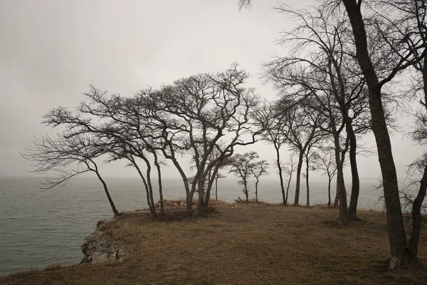Teksas Taki Eisenhower Eyalet Parkı Nda Sonbaharda Sisli Bir Göl — Stok fotoğraf