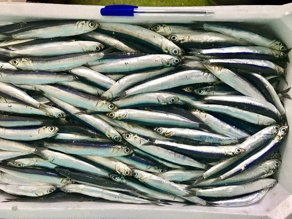 Anchovy Fish Sale Street Market — Stock Photo, Image