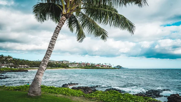 夏威夷毛伊岛的一个热带海滩 日落时分有棕榈树 — 图库照片