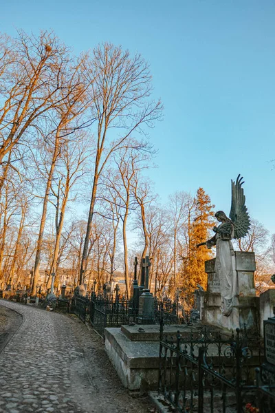 Een Verticaal Shot Van Een Oude Begraafplaats Met Kruisen Een — Stockfoto