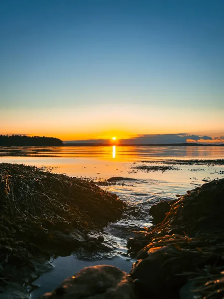 Eine Vertikale Aufnahme Eines Malerischen Sonnenaufgangs Über Einem Gewässer Küstennähe — Stockfoto