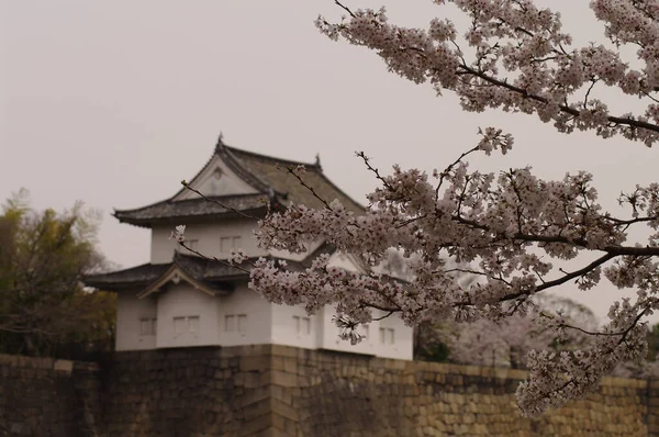 Zamek Nizo Jest Jednym Najbardziej Znanych Zamków Japońskich — Zdjęcie stockowe